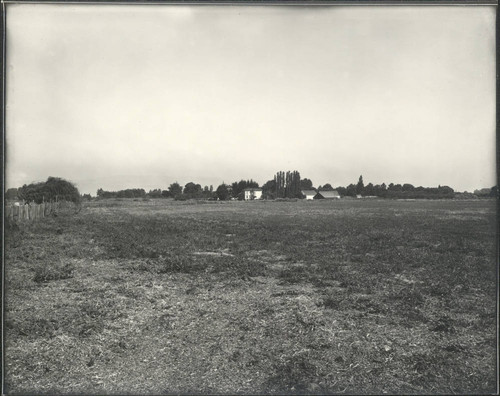 Looking southeast from Lighthouse Farm