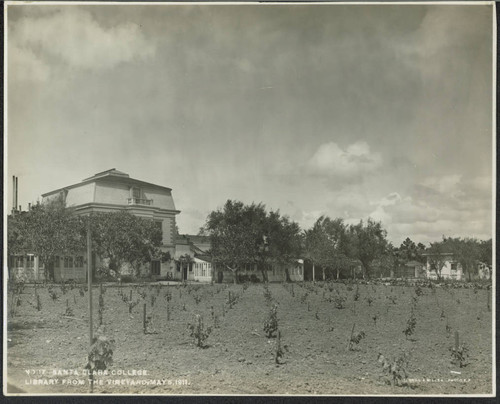 Library from the vineyard