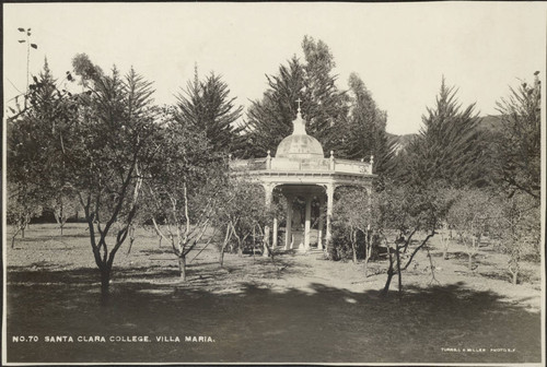 Maria shrine in Villa Maria orchard