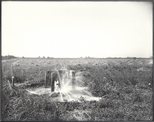 Caped artesian well