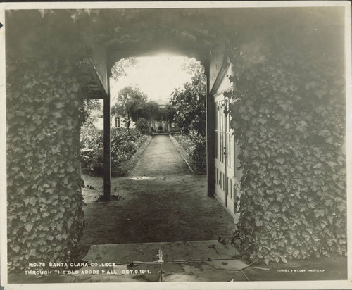 Through the old adobe wall