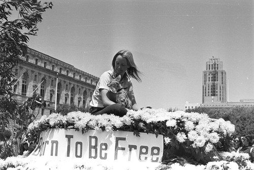 1977 San Francisco Gay Day Parade