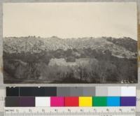 Hillside above Largo, Mendocino Station, where fuelwood was cut in 1936. For comparison with former pictures. 1938. Metcalf