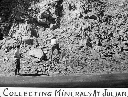 Collecting minerals at Julian / Lee Passmore