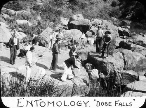 Entomology "Adobe Falls" / Lee Passmore