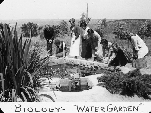 Biology - "Water Garden" / Lee Passmore