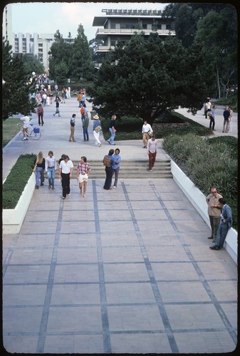 Revelle Plaza