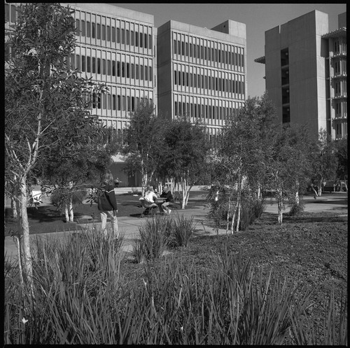 Psychology and Linguistics Building