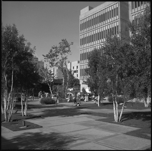 Psychology and Linguistics Building