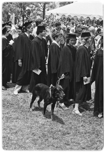 UCSD Commencement Exercises - Earl Warren College