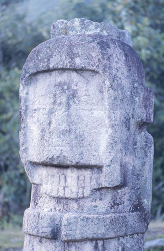 Profile of a monumental sculpture of a woman, Tierradentro, Colombia, 1975