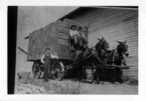 Upland Photograph Agriculture--non-Citrus; Walt Allen; wagon and mules / Esther Boulton Black Estate