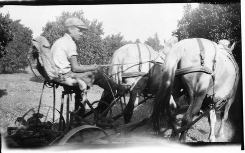 Upland Photograph People- Bob Black