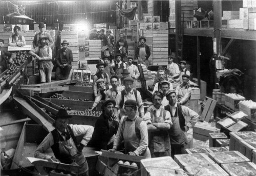 Upland Photograph Agriculture--Citrus; Citrus workers inside packing house / Esther Boulton Black Estate