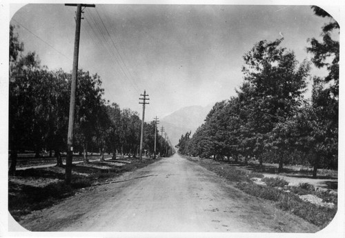 Upland Photograph Street Scenes; looking north on unpaved Euclid Avenue / Gerhard E. Schmidt