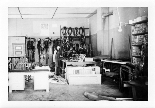 Upland Photograph Business; Interior of Dettweiler's Harness shop / Esther Boulton Black Estate