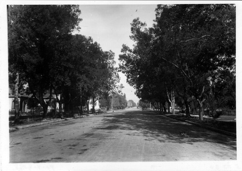 Upland Photograph Street Scenes; paved First Avenue looking north