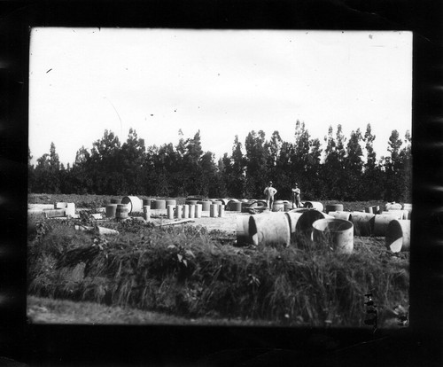 Upland Photograph Agriculture--non Citrus; Two men laying pipe in field / Edna Swan