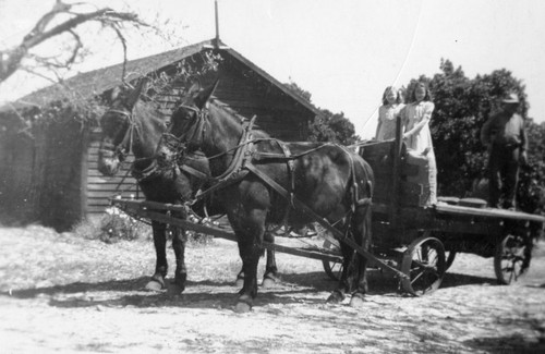 Upland Photograph People- Pap Martin and Harry Jennison's daughters