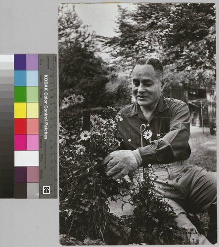 Ralph J. Bunche gardening