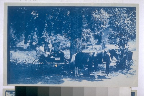 [Horse and cart with children in it - the cart has a sign which reads "Saratoga Springs and Blue Lake Stage Line."]