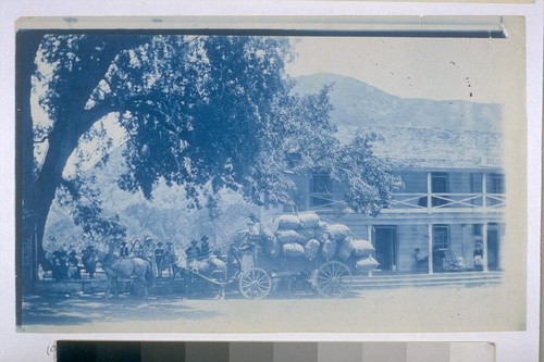 [Blue Lake Hotel with horse and buggy in front]