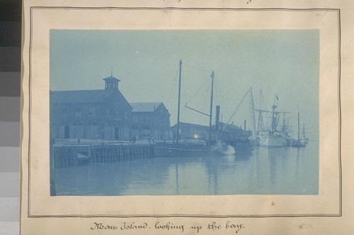 Mare Island. Looking up the bay