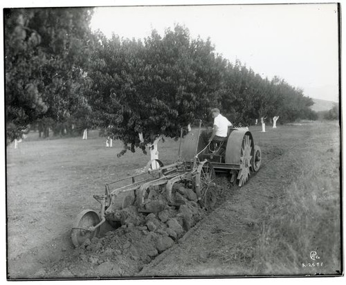 Man operating agricultural machine, between 1910 and 1919