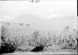 Savannah and mountains, Tanzania, ca.1893-1920