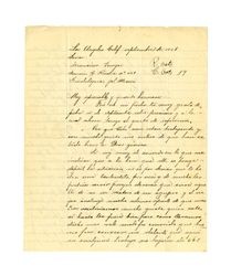 Letter from Miguel Venegas to Francisco Venegas, September 7, 1928