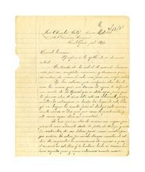 Letter from Miguel Venegas to Francisco Venegas, January 29, 1931