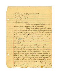 Letter from Miguel Venegas to Juan Venegas, July 17, 1929