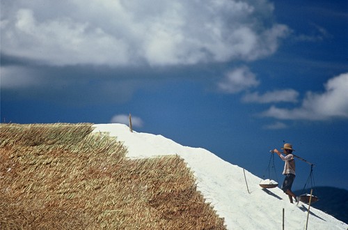 Salt farming near Cam Ranh Bay, Khanh Hoa Province