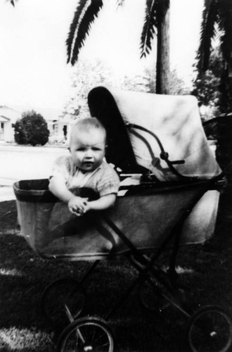 Baby in a buggy