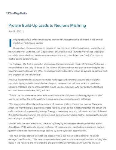 Protein Build-Up Leads to Neurons Misfiring