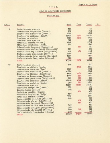 1940 Gulf of California Expedition Station 222. List of Species