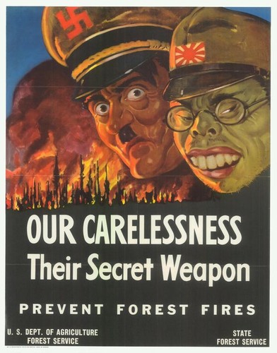 Our carelessness their secret weapon prevent forest fires