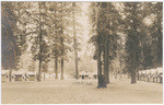 [Tent cabins at Merced Lake Lodge, Yosemite National Park]