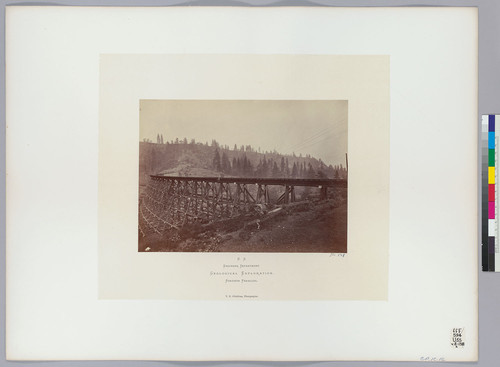 C.P.R.R. [Central Pacific Railroad trestle bridge]