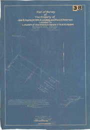 Plat of Survey of The Property of Jas. B. Hayes, Dr. Wm. K. Lindsay, and Paul E. Peterson