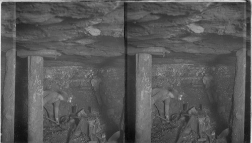 In "Pits and Veins" Anthracite Coal Mine. We are 200 feet below the level. Man drilling by hand to prepare for a shot or blast. Other man shoveling coal away. Three men in seven hours will send up 12 tons of coal. Scanton, Pa