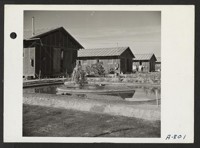 Landscaping done by evacuee residents of Camp No. 1. Photographer: Stewart, Francis Poston, Arizona