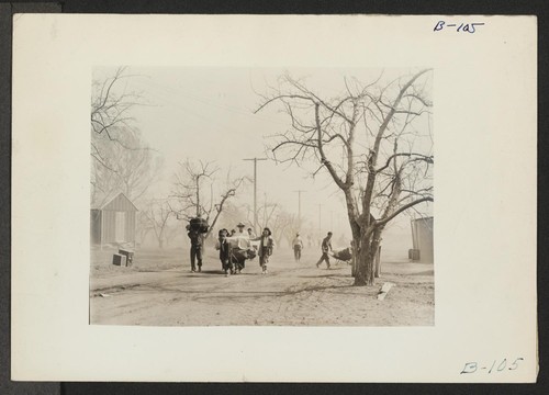 Manzanar, Calif.--Newcomers move into Manzanar, a War Relocation Authority center for evacuees of Japanese ancestry. Photographer: Albers, Clem Manzanar, California