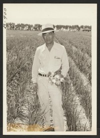 Henry Inouye, evacuee supervisor of the Granada Relocation Center farm, and a field of onions produced on the center farm. Photographer: McClelland, Joe Amache, Colorado