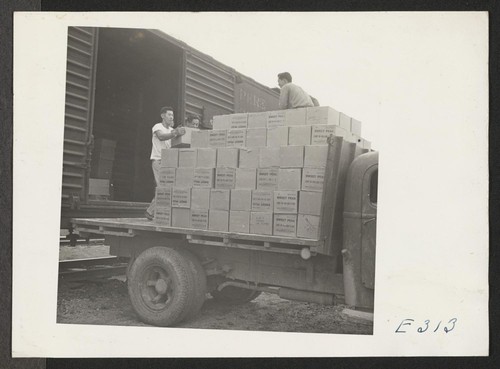 Volunteer crews unloading supplies on a railroad siding for transportation to the warehouses at this relocation center. Photographer: Parker, Tom McGehee, Arkansas