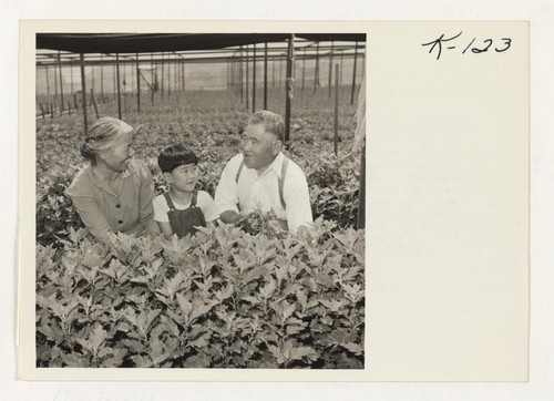 Shown here are Mr. and Mrs. Unosuke Oku and their grandson, David, son of Masao Oku, florist at Wright and