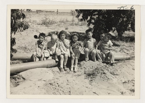 Left to right, Gene Miyake, Tommy Sheridan, Patty Sheridan; Margaret Miyake; Gordon Nagai; Robert Miyako; and David Nagai, in Robert's lap. They are in the peach orchard owned by the Miayke family at Rt. 1, Box 114, Atwater, California. Photographer: Iwasaki, Hikaru Atwater, California