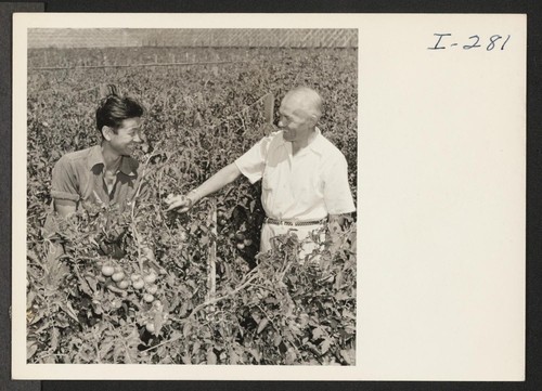 Hideo Ishimoto at the Wallrath Greenhouses in Waltham, Massachusetts, with Mr. Wallrath. Hideo is from Heart Mountain and previously from San Jose, California. Photographer: Iwasaki, Hikaru Waltham, Massachusetts