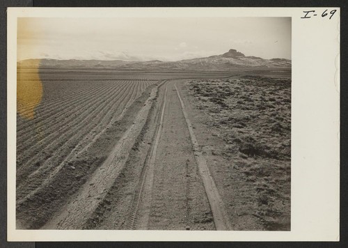 Showing the contrast of cleared land and uncleared land. Photographer: Iwasaki, Hikaru Heart Mountain, Wyoming