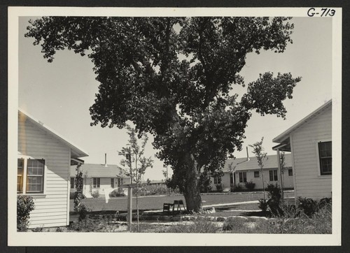 C Section, Appointed Personnel Quarters at Amache. Photographer: McClelland, Joe Amache, Colorado